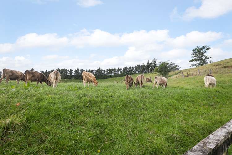 12 Upland Road Aongatete_9