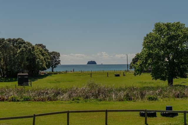 129 Cook Drive Whitianga_2