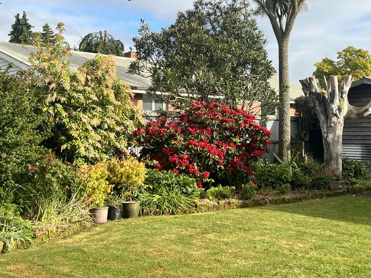 53 Forest Drive Methven_13