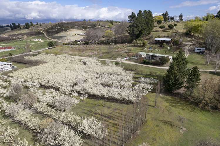 18 Ferris Road Alexandra_20