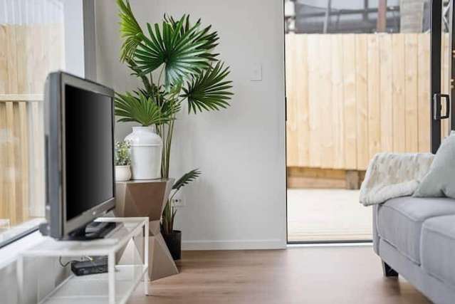 23D Melton Road Mt Wellington_2