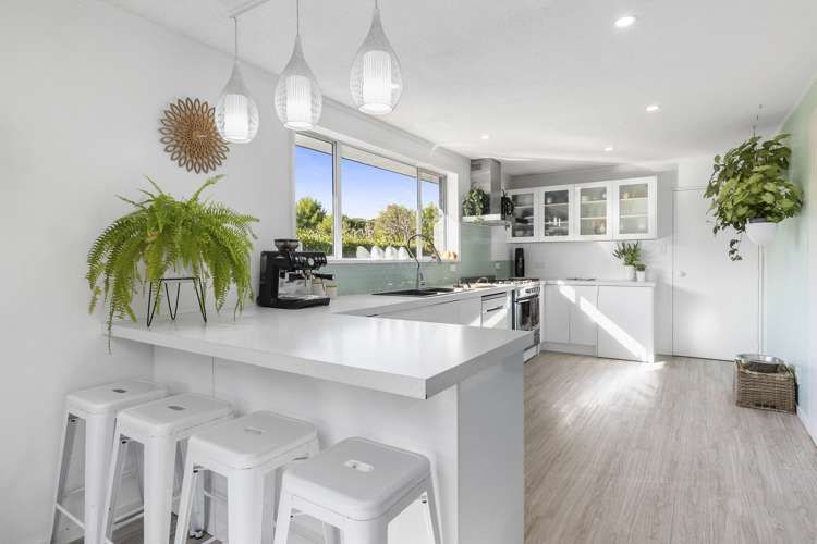 15 Green Island Bush Road Blackhead_6