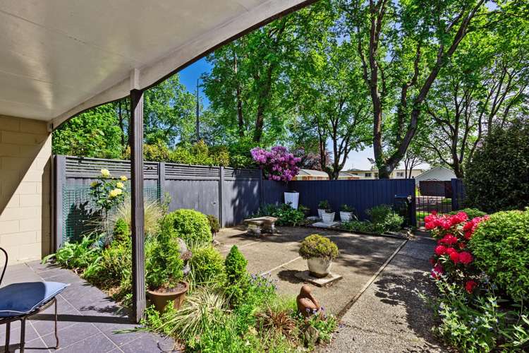 57B Albert Street Gladstone_7