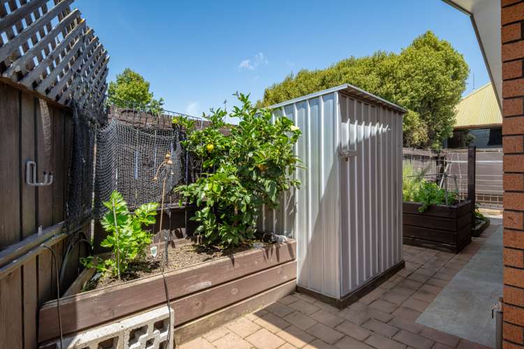 39b Percy Street Blenheim Central_17