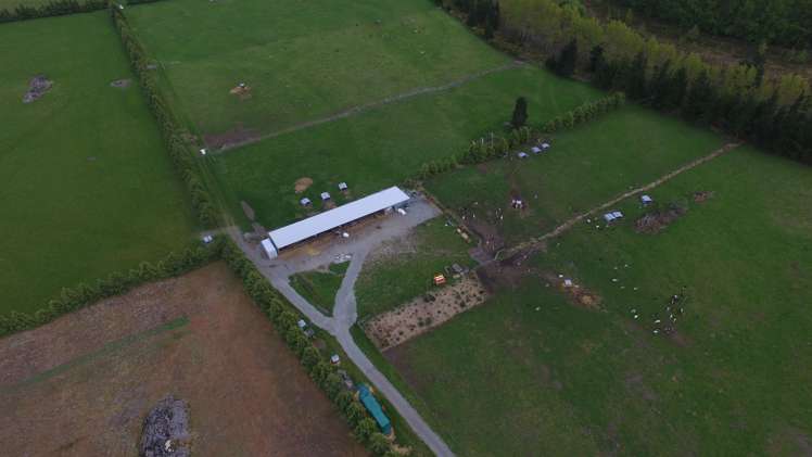 376 Anama Valetta Road Valetta_11