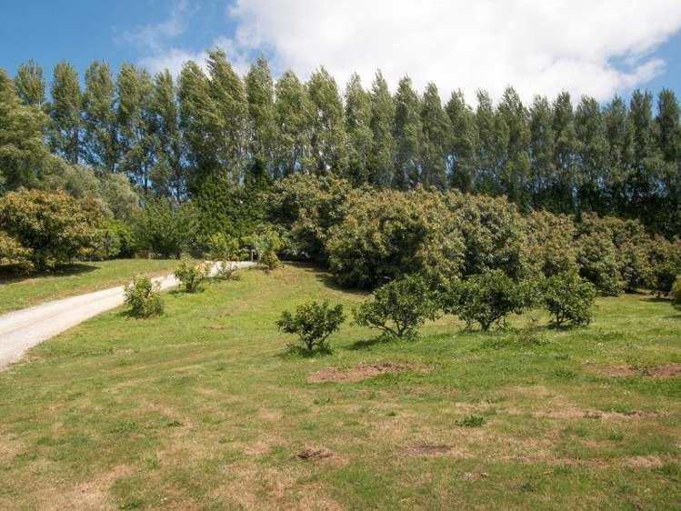 58d Rawaka Drive Katikati_15