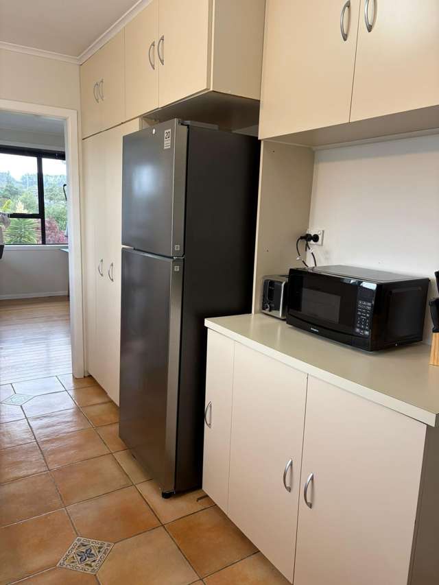 20 Nikau Street Springfield_2