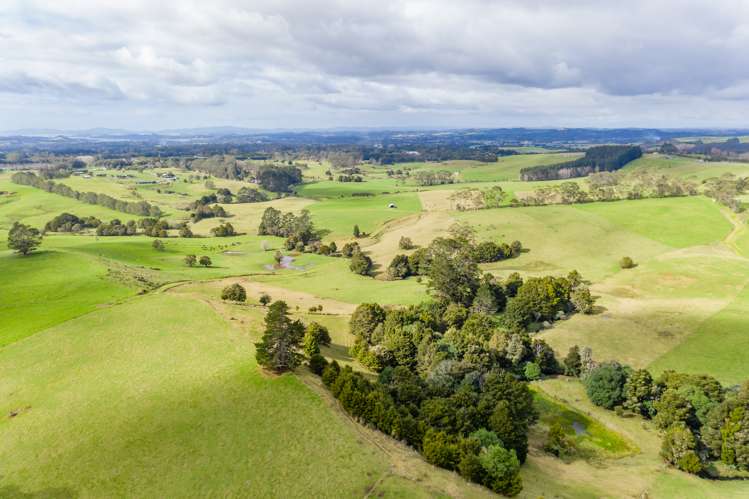 460 Pungaere Road Kerikeri Surrounds_20