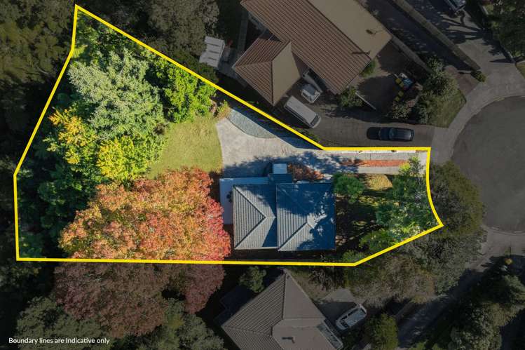 51 Cyclarama Crescent Massey_7