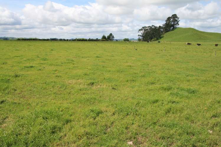 775 Bird Road Stratford_5