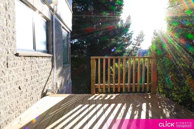 262 B Kenmure Road 2506_4