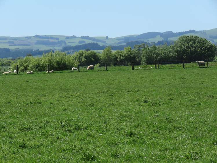 224 Winter Road Wyndham Surrounds_10