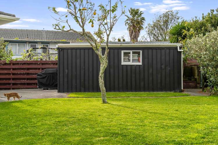 9 Ellison Place Pakuranga Heights_26