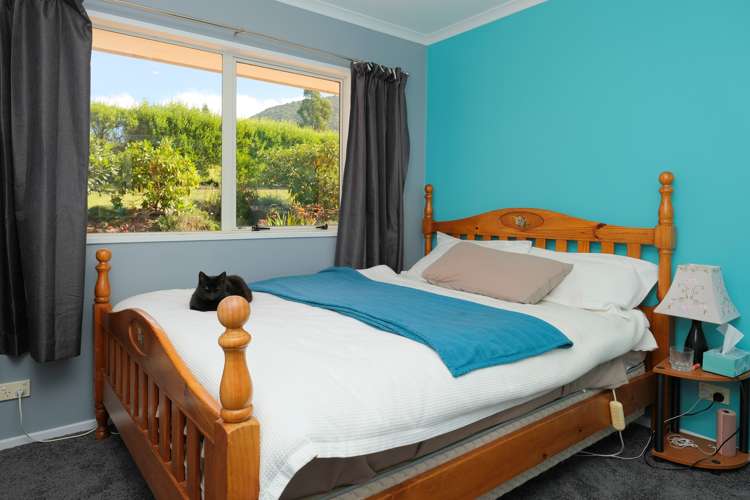 157 Mcmaster Road Saddle Hill_9