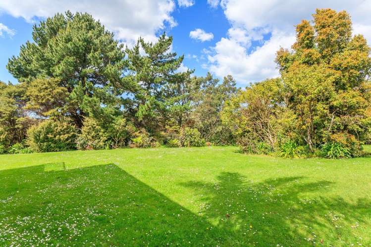 1007 East Coast Road Redvale_15