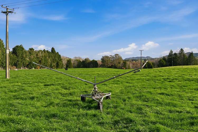365 Halcrow Road Reporoa_20