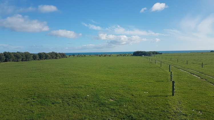 4581 South Road Opunake_5