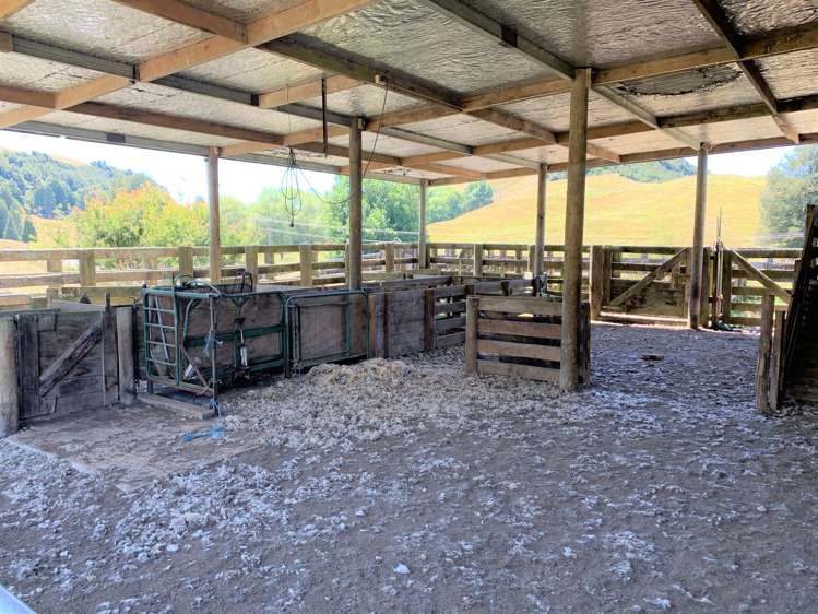 1246 State Highway 3 Te Kuiti_16