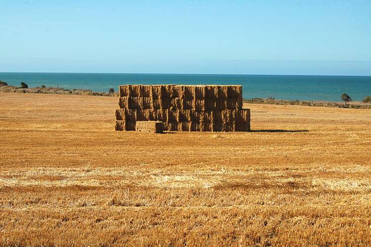 Thousand Acre Road Oamaru_24