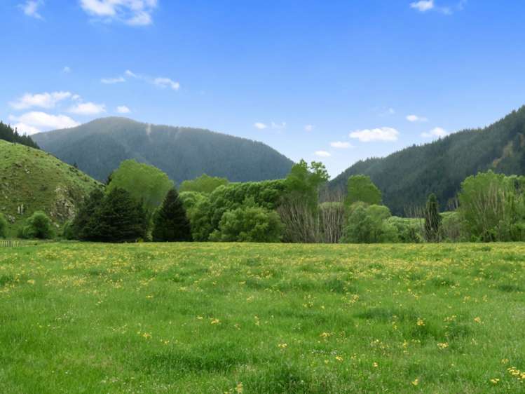 3093 Waihopai Valley Road Waihopai Valley_33