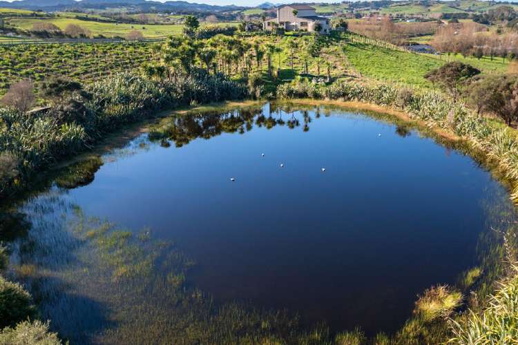 52 Lara Lane Kaiwaka_10