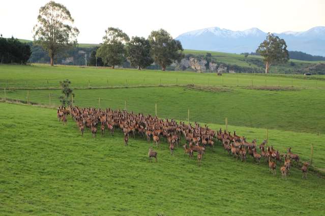 Proven Performance & Environmental Excellence