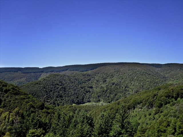 17 Tui Terrace Waipori Falls_2