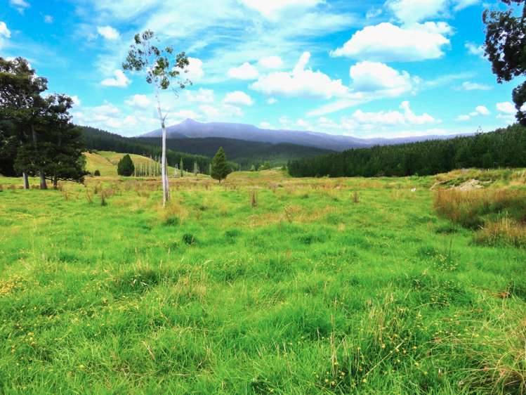 2218 Tangowahine Valley Road Dargaville Surrounds_22