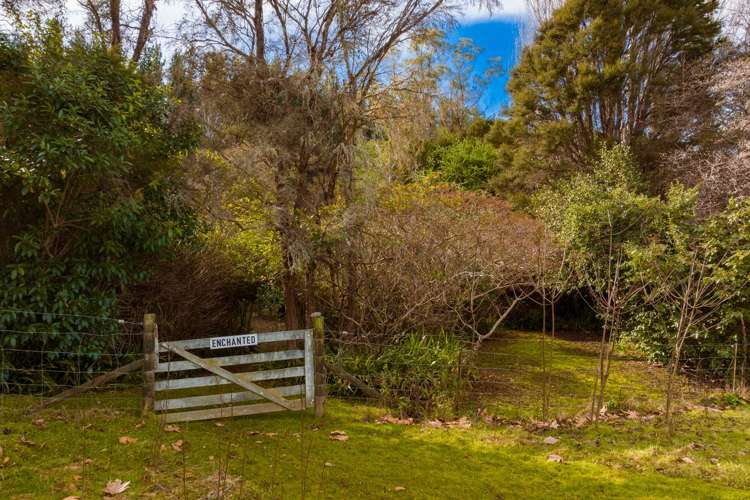 4023 Northbank Road Wairau Valley_31