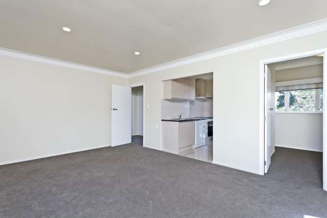 2/64 Rawhiti Road One Tree Hill_3
