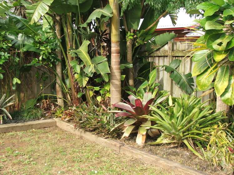 18 Ayrton Street Te Atatu South_10