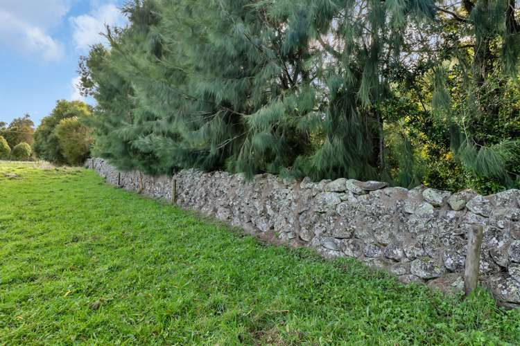 Springs Road Poroti_6