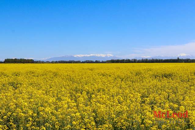 Boundary Road Ashburton_3