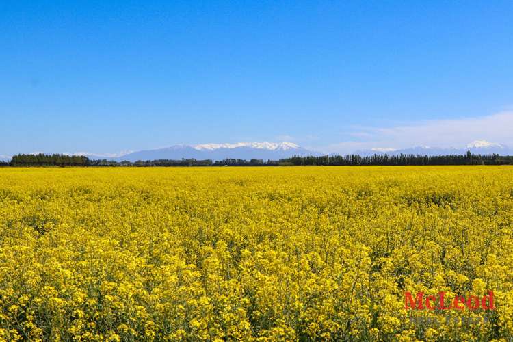 Boundary Road Ashburton_3