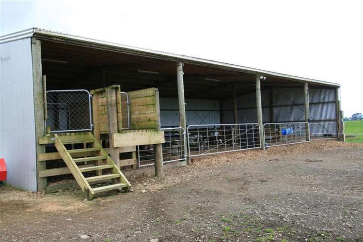 173 Anderson Road Eltham_18