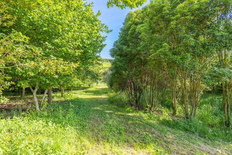 111 Ellis Road Otorohanga_46