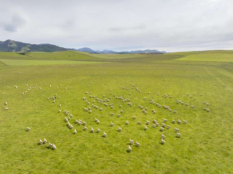 304 Acton Downs Road Acton_23