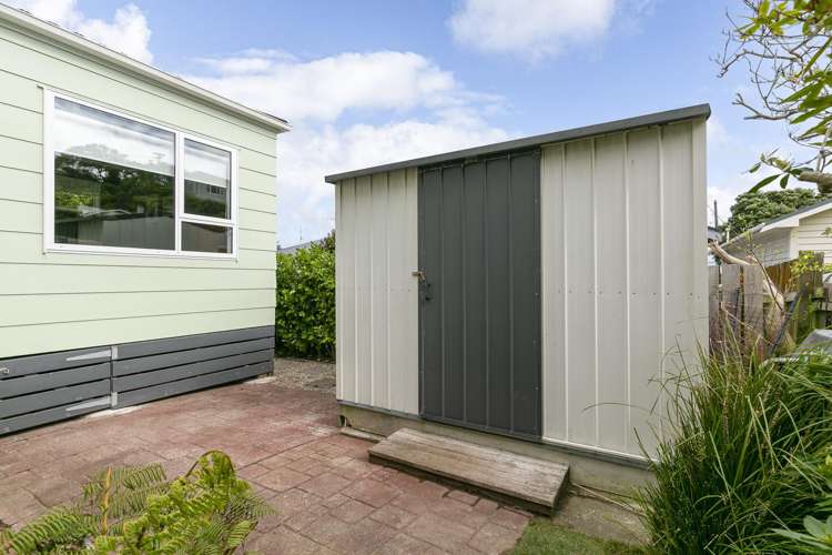 102 Tauhinu Road Miramar_16