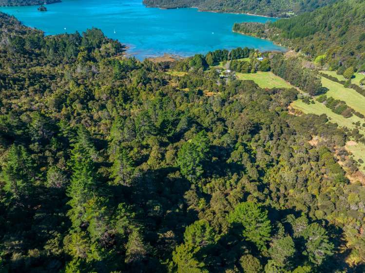 Lots 3 4 5 Nydia Bay Marlborough Sounds_13