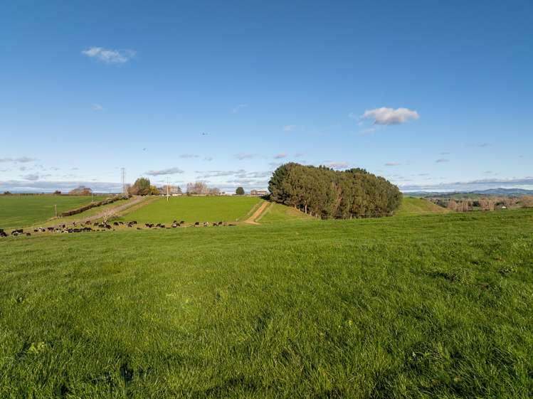 858 Oreipunga Road Maungatautari_12