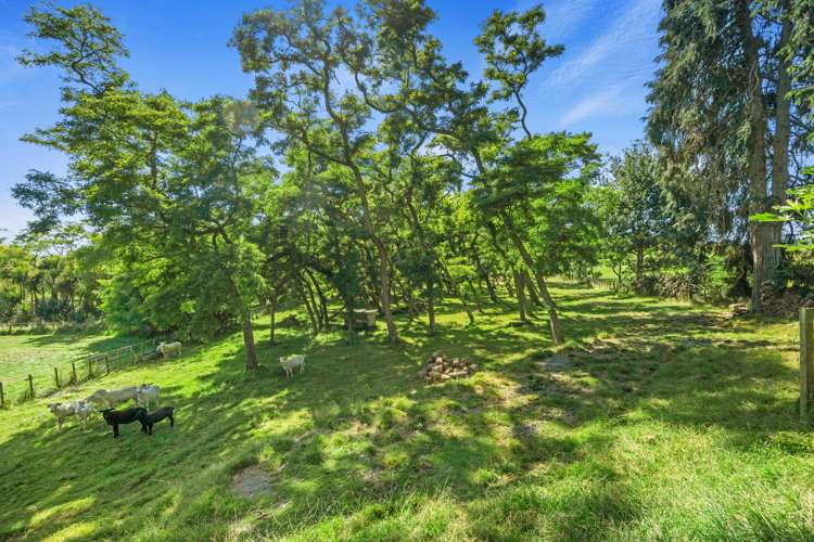 1 Paratu Road Richmond Downs_31