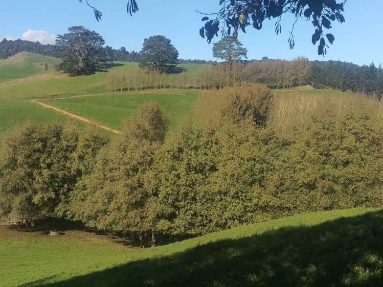 648 Scotsman Valley Road Tauwhare_9