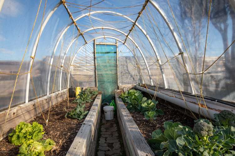 26 Eureka Street Alexandra_19