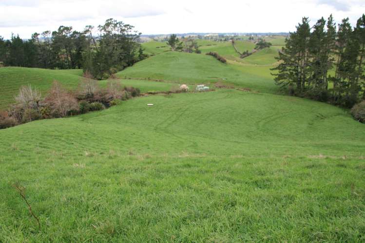 190 Lincoln Road Inglewood_9