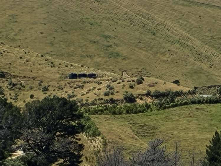 Cissy Bay Road, Cissy Bay French Pass_16