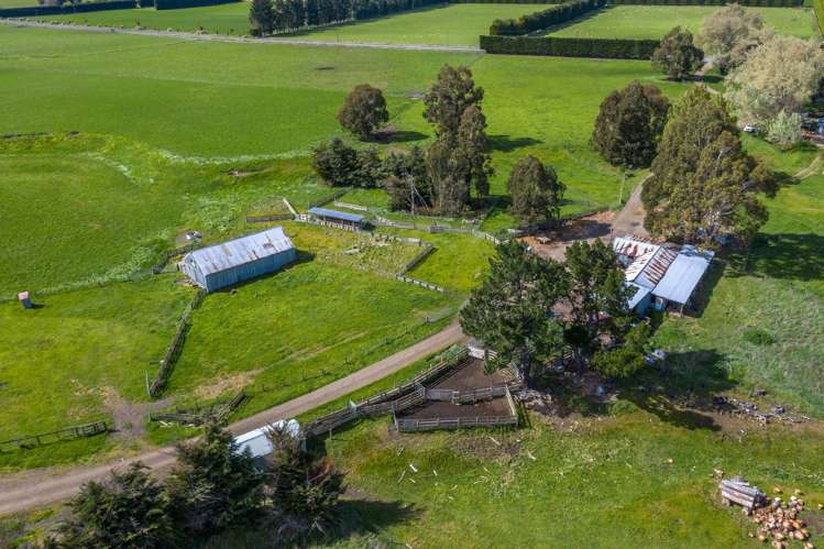 1166 Scargill Valley Road Scargill_18