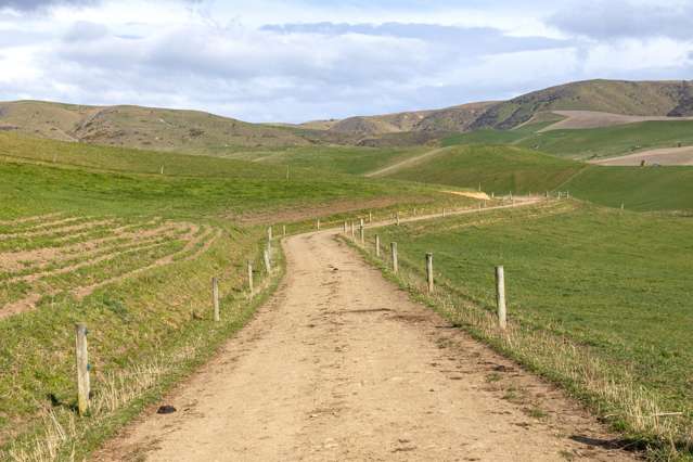 156 Elephant Hill Back Road Waimate_3