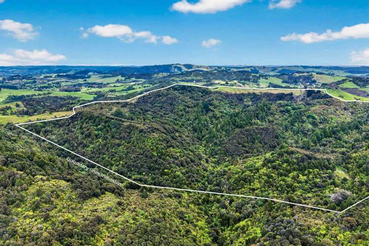 210H Monowai Road Wainui_1
