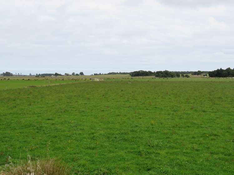 96 Holz Road Wyndham Surrounds_7