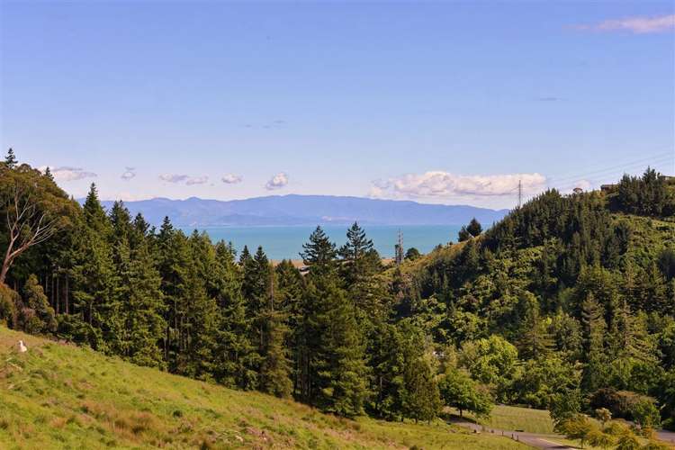 42 Quail Rise Stoke_3